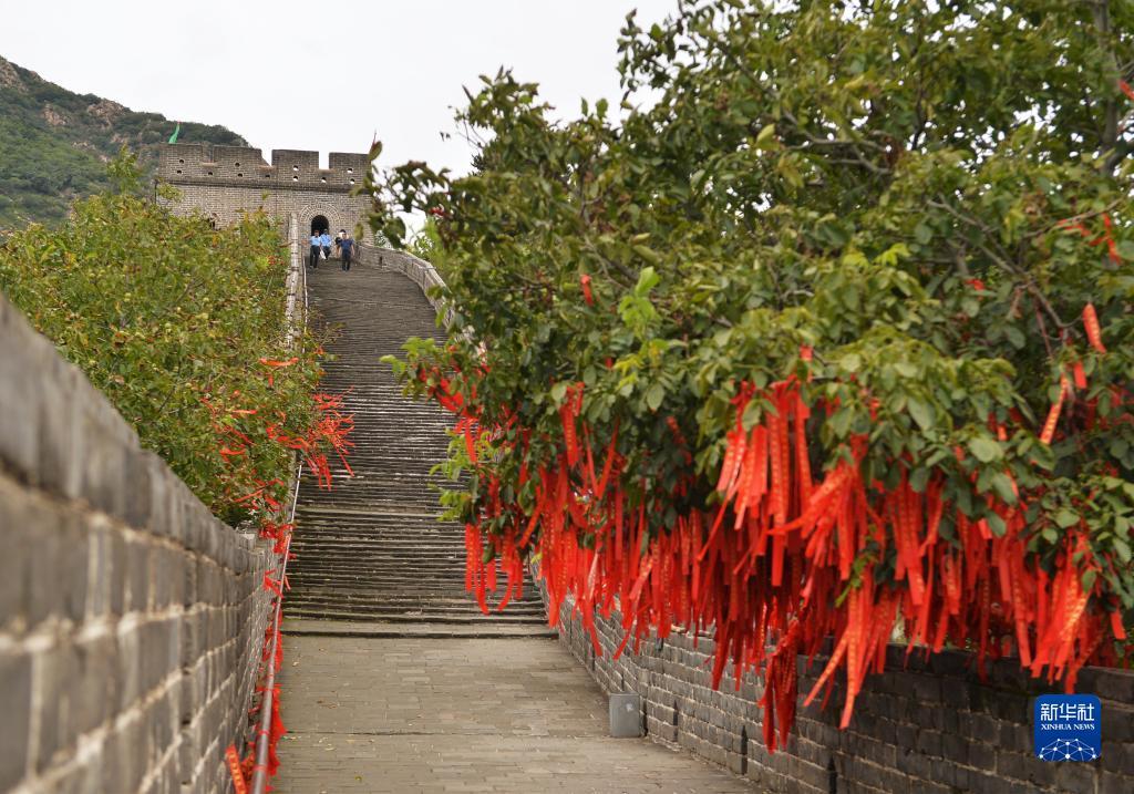 天悦下载基地